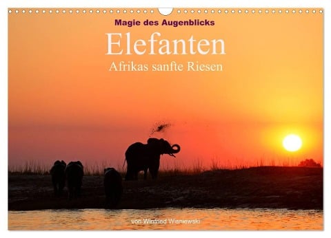 Magie des Augenblicks - Elefanten - Afrikas sanfte Riesen (Wandkalender 2024 DIN A3 quer), CALVENDO Monatskalender - Winfried Wisniewski