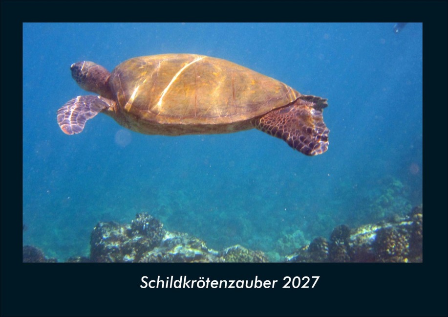 Schildkrötenzauber 2027 Fotokalender DIN A4 - Tobias Schmitt, Kevin Heber