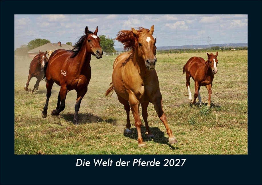 Die Welt der Pferde 2027 Fotokalender DIN A5 - Tobias Schmitt, Kevin Heber