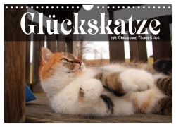Glückskatze - Mit Zitaten zum Thema Glück (Wandkalender 2026 DIN A4 quer), CALVENDO Monatskalender - Michael Gsödl