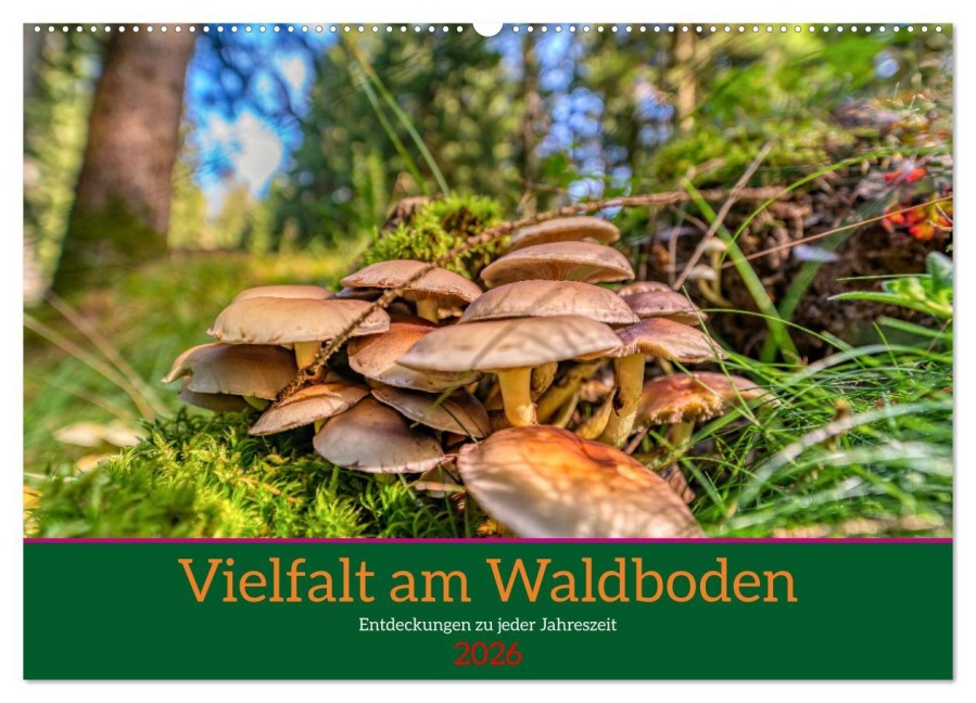 Vielfalt am Waldboden (Wandkalender 2026 DIN A2 quer), CALVENDO Monatskalender - Torsten Irmer
