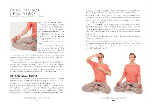 InsideView 5