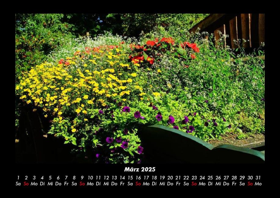 InsideView 7