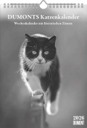 DUMONTS Katzenkalender - Marion Schmidt