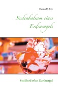 Cover-Bild zum Titel 'Seelenbalsam eines Erdenengels' von 'Clarissa M. Seite'