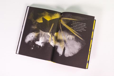 InsideView 4