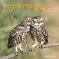 Beste Freunde 2025 - Broschürenkalender 30x30 cm (30x60 geöffnet) - Kalender mit Platz für Notizen - Best Friends - Bildkalender - Wandkalender - 