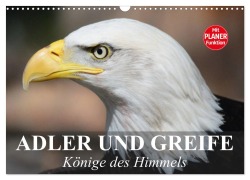 Cover-Bild zum Titel 'Adler und Greife. Könige des Himmels (Wandkalender 2026 DIN A3 quer), CALVENDO Monatskalender' von 'Elisabeth Stanzer'