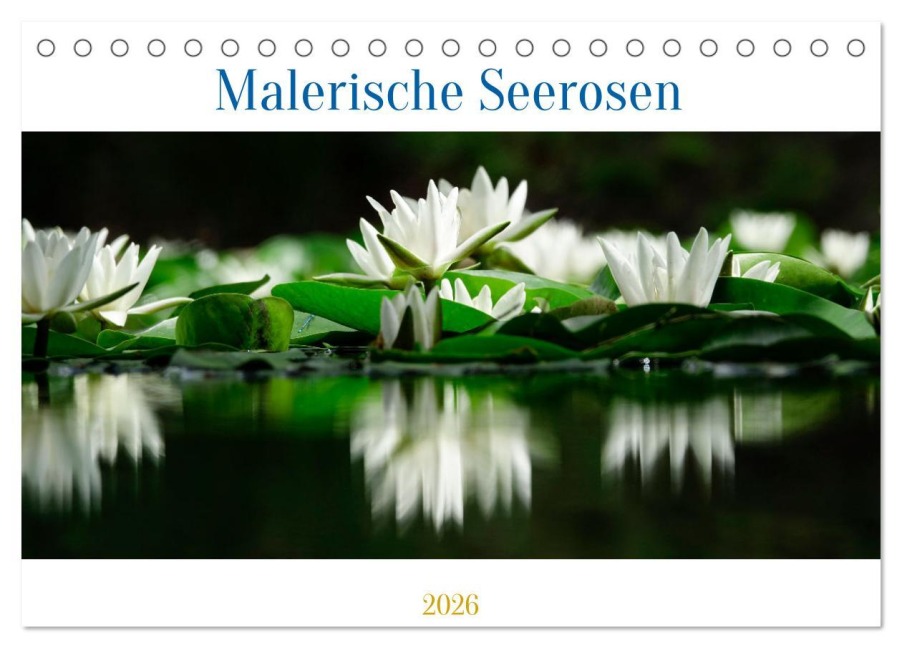 Malerische Seerosen (Tischkalender 2026 DIN A5 quer), CALVENDO Monatskalender - Anette/Thomas Jäger