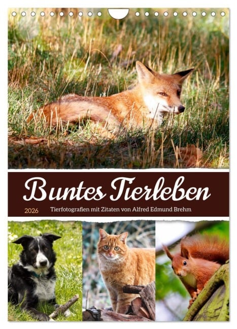 Buntes Tierleben (Wandkalender 2026 DIN A4 hoch), CALVENDO Monatskalender - Sabine Löwer