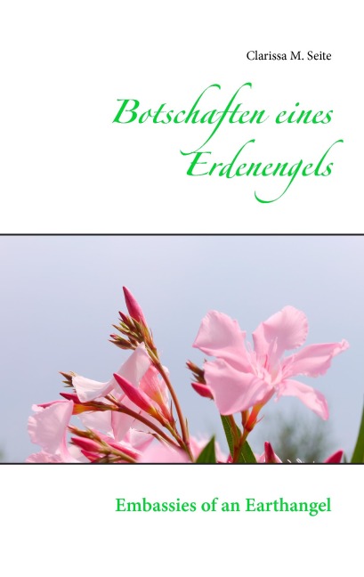 Botschaften eines Erdenengels - Clarissa M. Seite