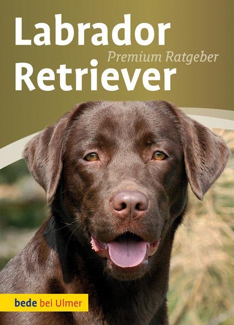 Labrador Retriever - Annette Schmitt