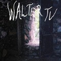 Cover-Bild zum Titel 'Blessed' von 'Walter TV'