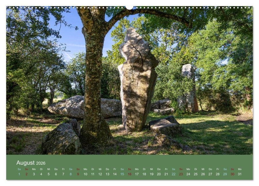 InsideView 12