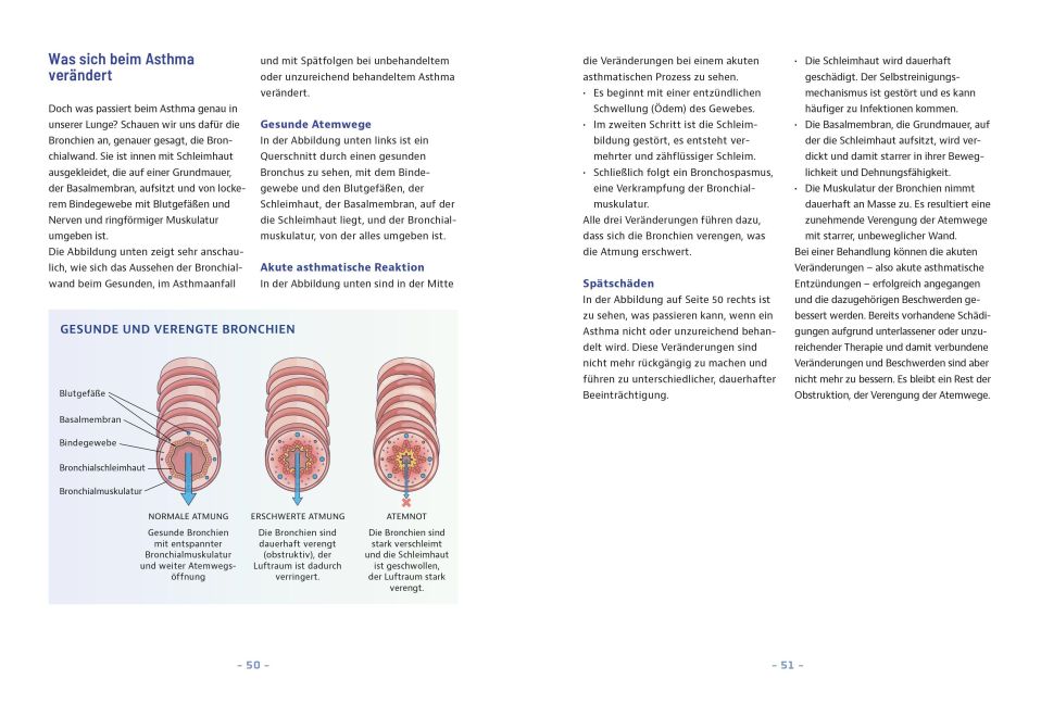 InsideView 3