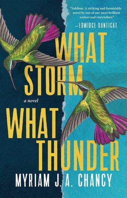 What Storm, What Thunder - Myriam J A Chancy