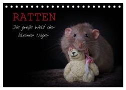 Cover-Bild zum Titel 'Ratten. Die große Welt der kleinen Nager (Tischkalender 2026 DIN A5 quer), CALVENDO Monatskalender' von 'Thorsten Nilson'