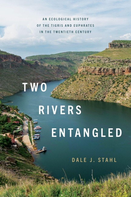 Two Rivers Entangled - Dale J Stahl