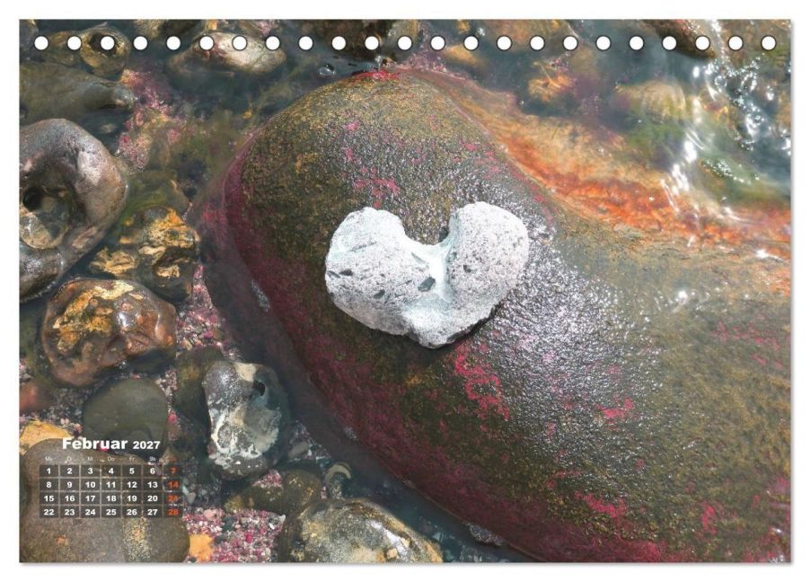 InsideView 7
