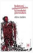 Cover-Bild zum Titel 'Biktim Cehennemin Icimdeki Yerinden' von 'Ebru Özden'