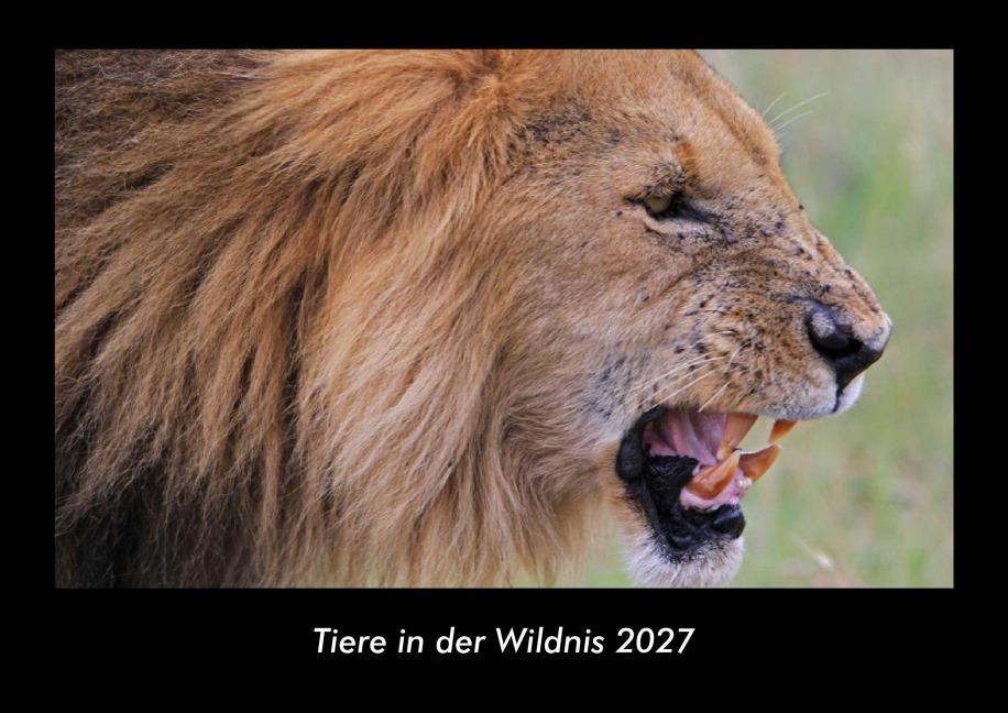 Tiere in der Wildnis 2027 Fotokalender DIN A3 - Tobias Becker