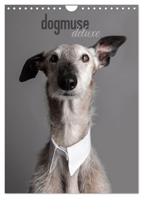 dogmuse deluxe (Wandkalender 2026 DIN A4 hoch), CALVENDO Monatskalender - Tanja Noel