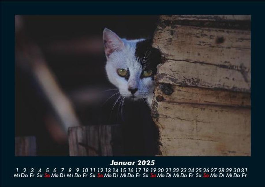 InsideView 5