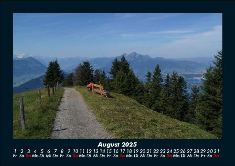 InsideView 12