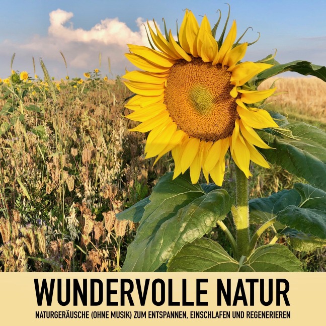 Wundervolle Natur: Naturgeräusche (ohne Musik) zum Entspannen, Regenerieren und Einschlafen - Anna-Maria Rosendahl
