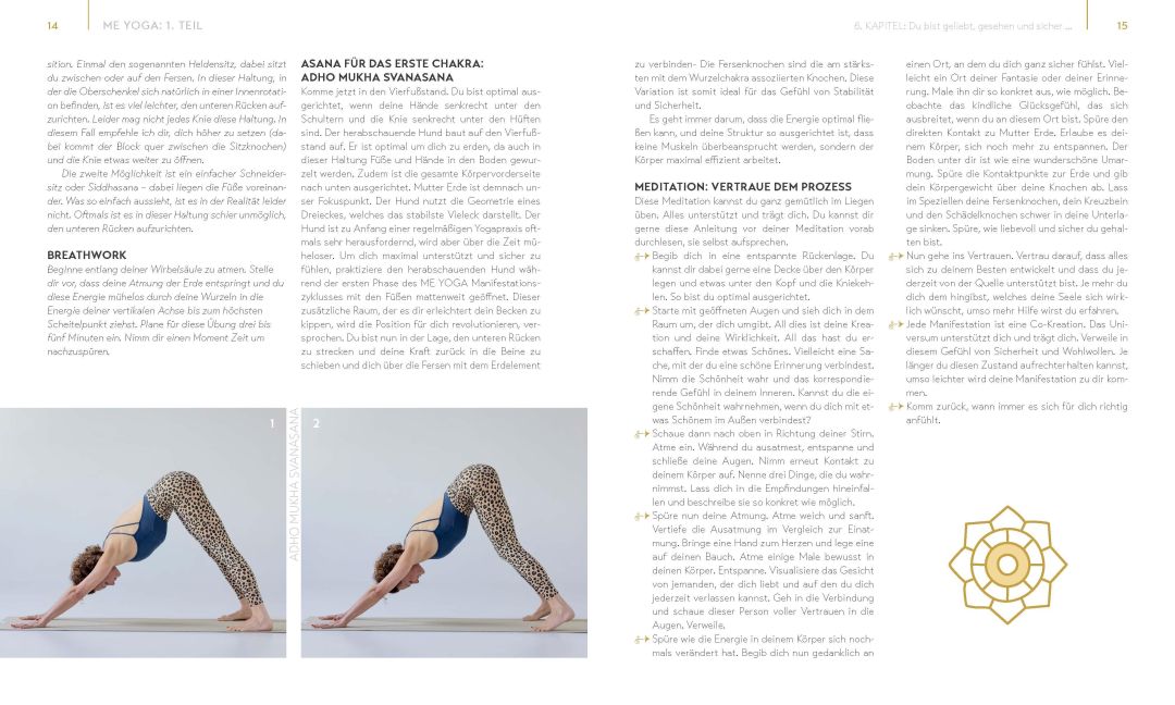 InsideView 5