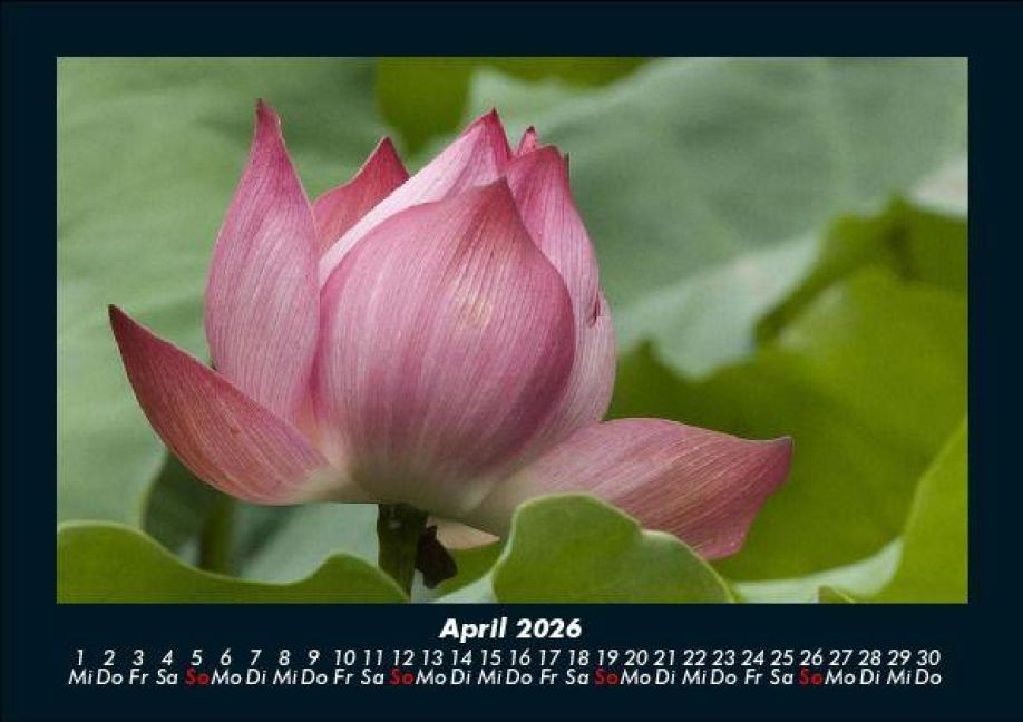 InsideView 8