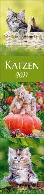 Katzen Langplaner 2027 - 