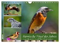 Heimische Vögel des Jahres (Wandkalender 2024 DIN A4 quer), CALVENDO Monatskalender - Claudia Kleemann