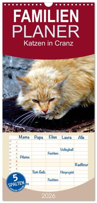 Familienplaner 2026 - Katzen in Cranz mit 5 Spalten (Wandkalender, 21 x 45 cm) CALVENDO - Henning von Löwis of Menar