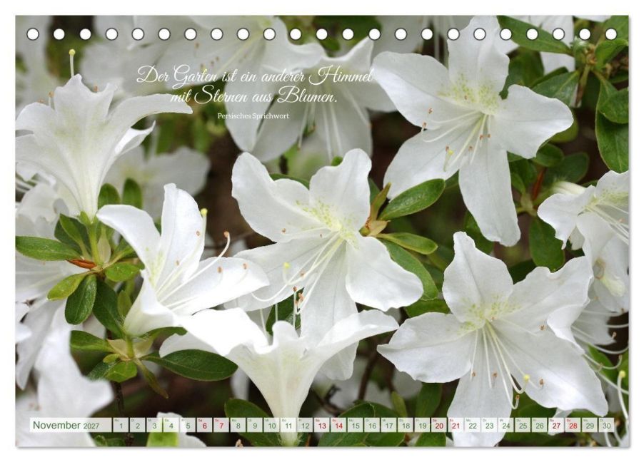 InsideView 3