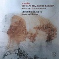 Cover-Bild zum Titel 'Vocalise-Werke für Oboe' von 'Lajos/Budapest Strings Lencses'