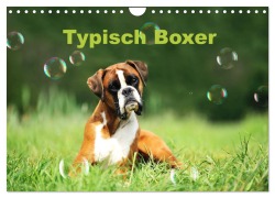 Typisch Boxer (Wandkalender 2026 DIN A4 quer), CALVENDO Monatskalender - Yvonne Janetzek