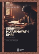 Cover-Bild zum Titel 'Serh-i Muammayat-i Emri' von 'Ahmed el-Muammayi'