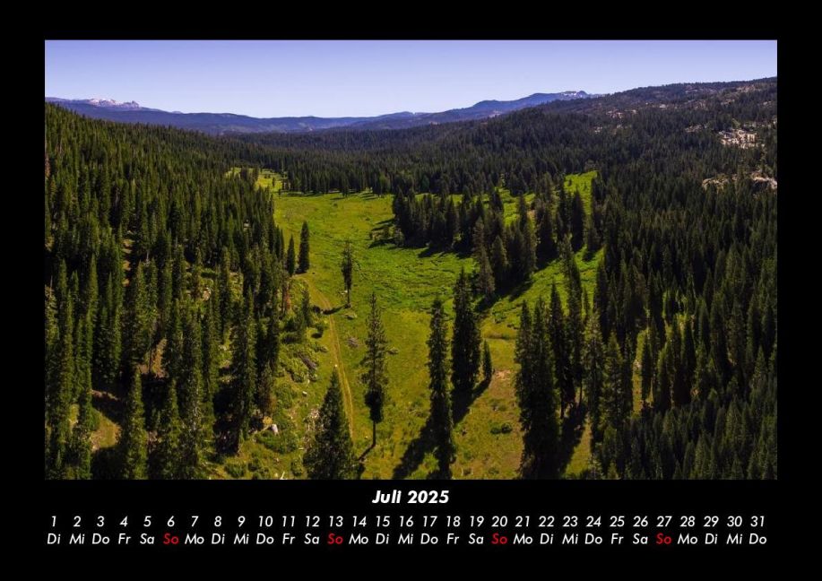 InsideView 11