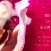 Cover-Bild zum Titel 'Trio of Bloom' von 'Trio of Bloom'