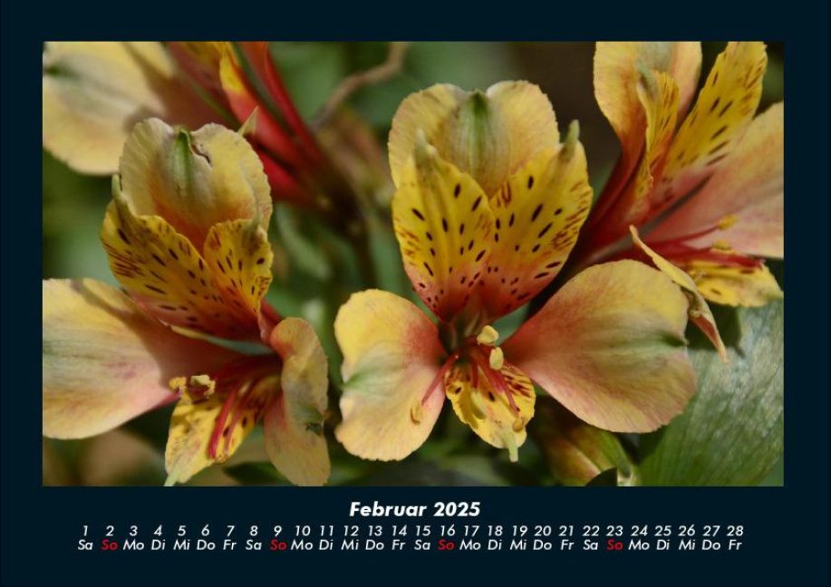 InsideView 6
