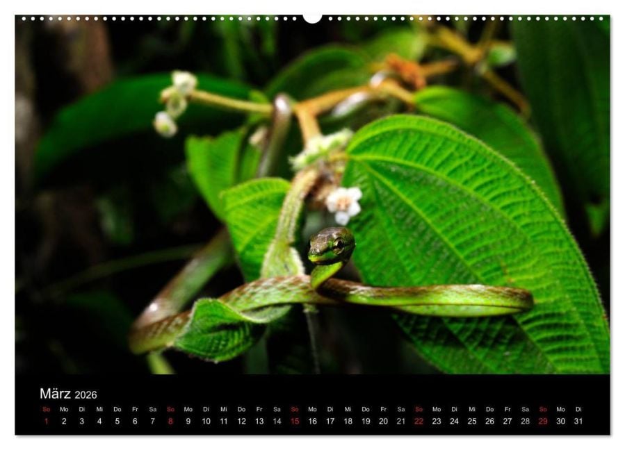 InsideView 8