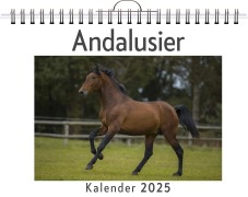 Cover-Bild zum Titel 'Andalusier' von 'Linus Lang'