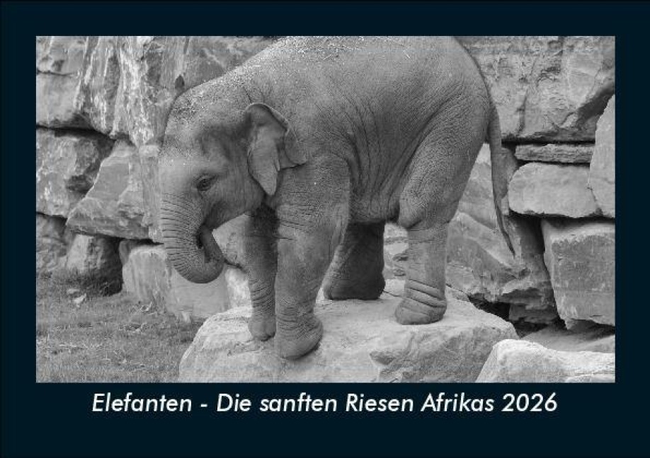 Elefanten - Die sanften Riesen Afrikas 2026 Fotokalender DIN A5 - Tobias Becker