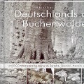 Deutschlands alte Buchenwälder - Karl Heinz Engel