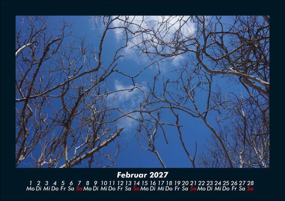 InsideView 6