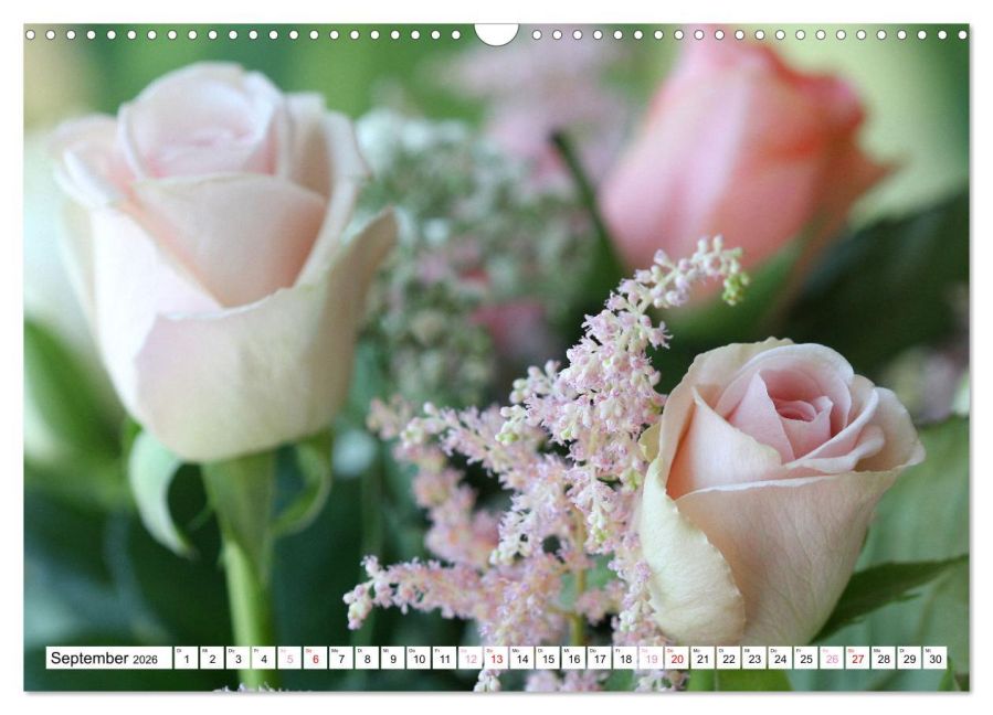 InsideView 14