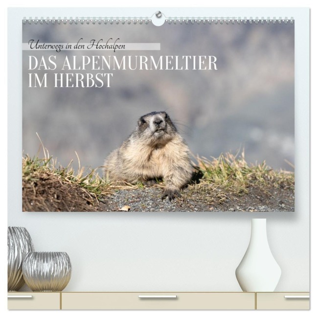 Unterwegs in den Hochalpen - Das Alpenmurmeltier im Herbst (hochwertiger Premium Wandkalender 2026 DIN A2 quer), Kunstdruck in Hochglanz - Angela Merk