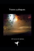 Cover-Bild zum Titel 'Trazos y pliegues' von 'Macarmen M Galindo'
