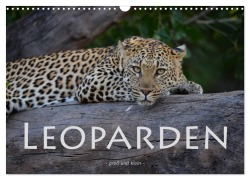 Cover-Bild zum Titel 'Leoparden - groß und klein (Wandkalender 2026 DIN A3 quer), CALVENDO Monatskalender' von 'Robert Styppa'